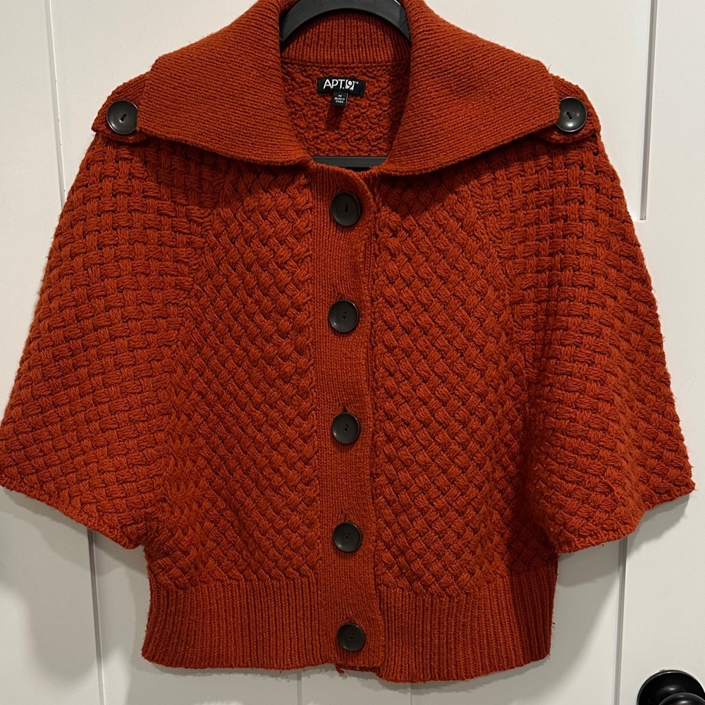 APT. 9 Women's Rust Sweater